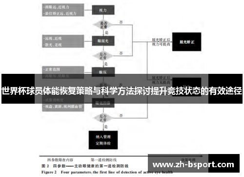 世界杯球员体能恢复策略与科学方法探讨提升竞技状态的有效途径