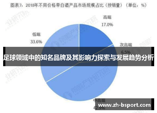 足球领域中的知名品牌及其影响力探索与发展趋势分析