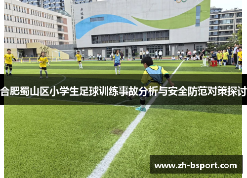 合肥蜀山区小学生足球训练事故分析与安全防范对策探讨