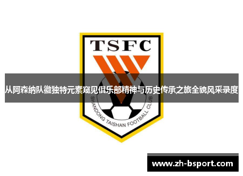 从阿森纳队徽独特元素窥见俱乐部精神与历史传承之旅全貌风采录度