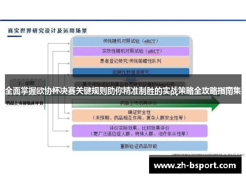 全面掌握欧协杯决赛关键规则助你精准制胜的实战策略全攻略指南集