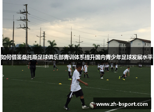 如何借鉴桑托斯足球俱乐部青训体系提升国内青少年足球发展水平