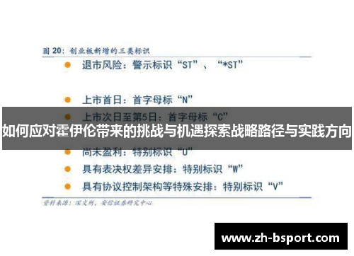 如何应对霍伊伦带来的挑战与机遇探索战略路径与实践方向